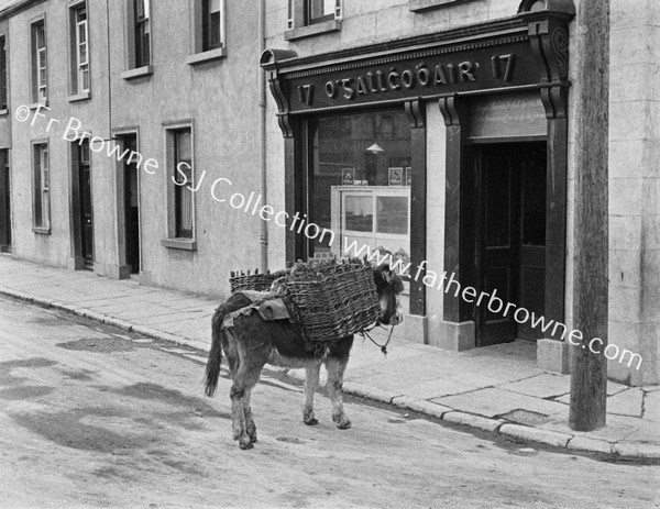 DONKEY WITH CREELS AT GALLAGHER'S SHOP